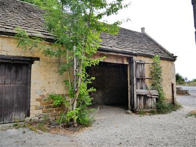 Picture 8